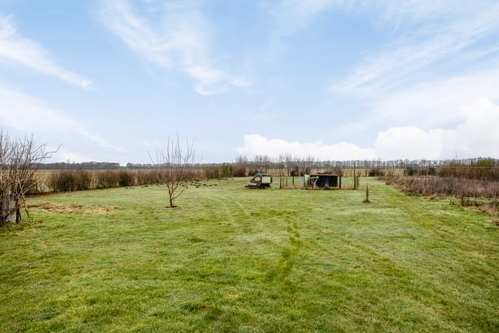 Photo 52 of Hammerdijk 1