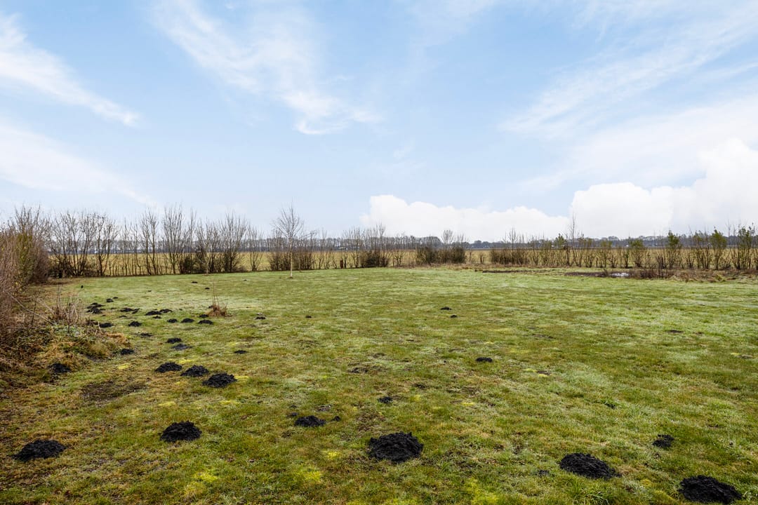 Foto 53 van Hammerdijk 1