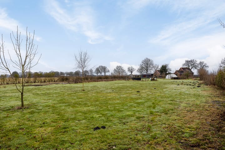 Photo 54 of Hammerdijk 1