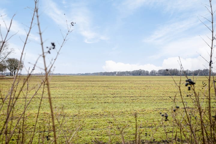 Photo 56 of Hammerdijk 1