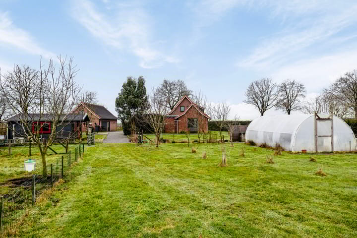 Photo 58 of Hammerdijk 1