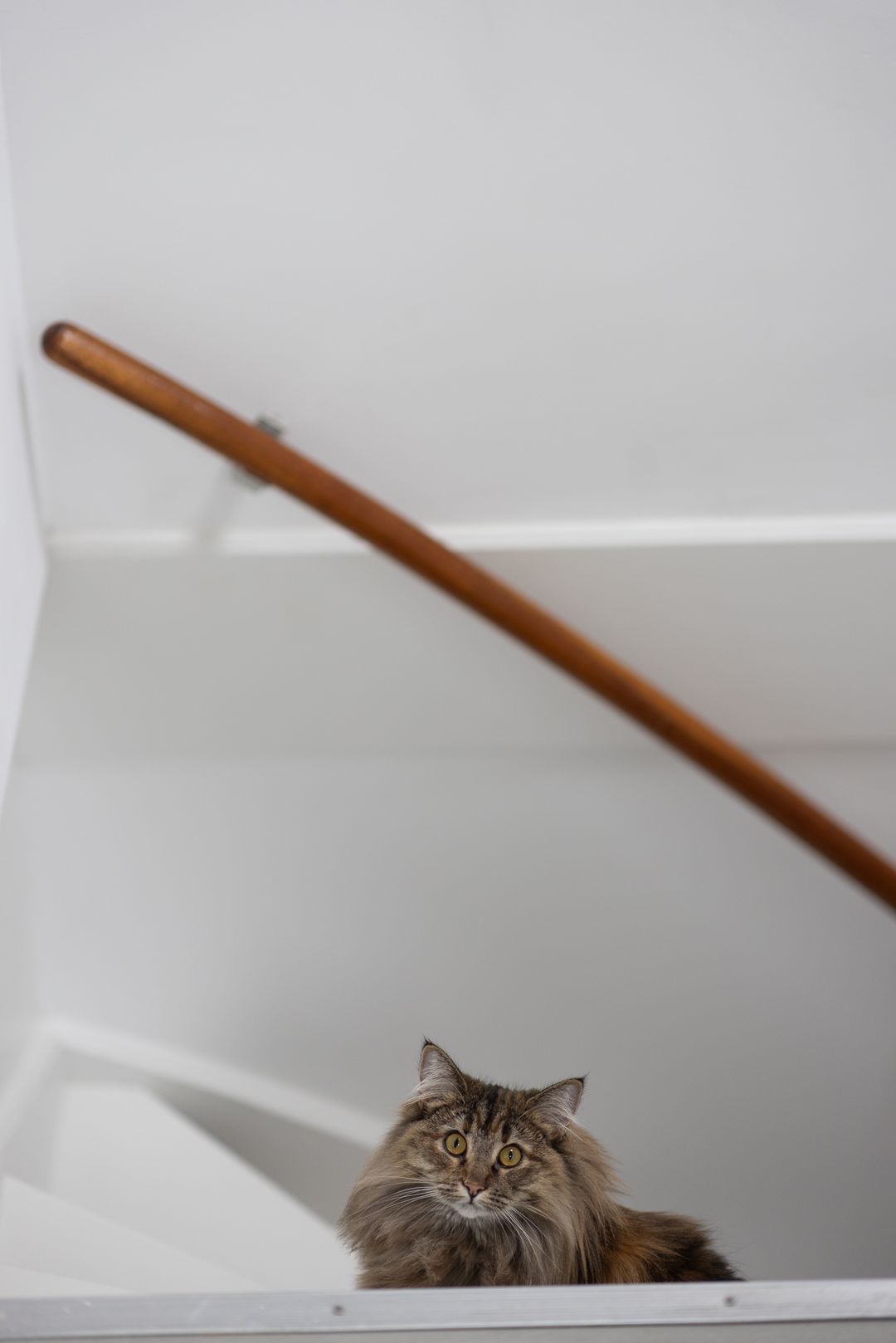 Foto 26 van Kraaiheide 41