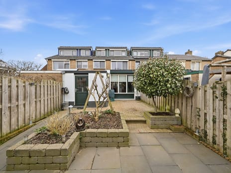 undefined main image