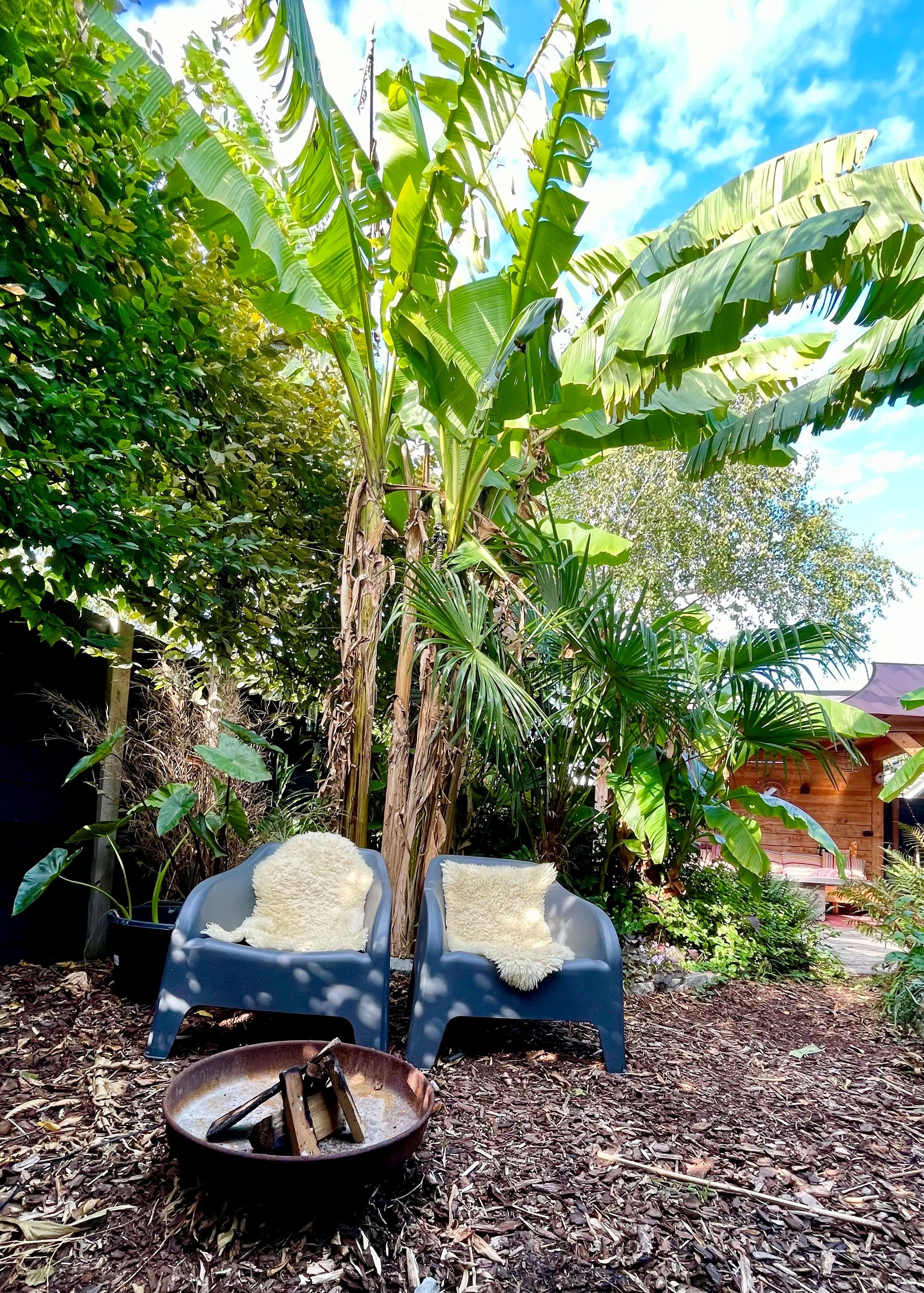 Photo 60 of Gravin Adelheidlaan 21