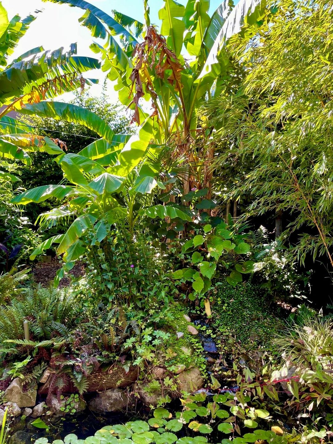 Photo 61 of Gravin Adelheidlaan 21