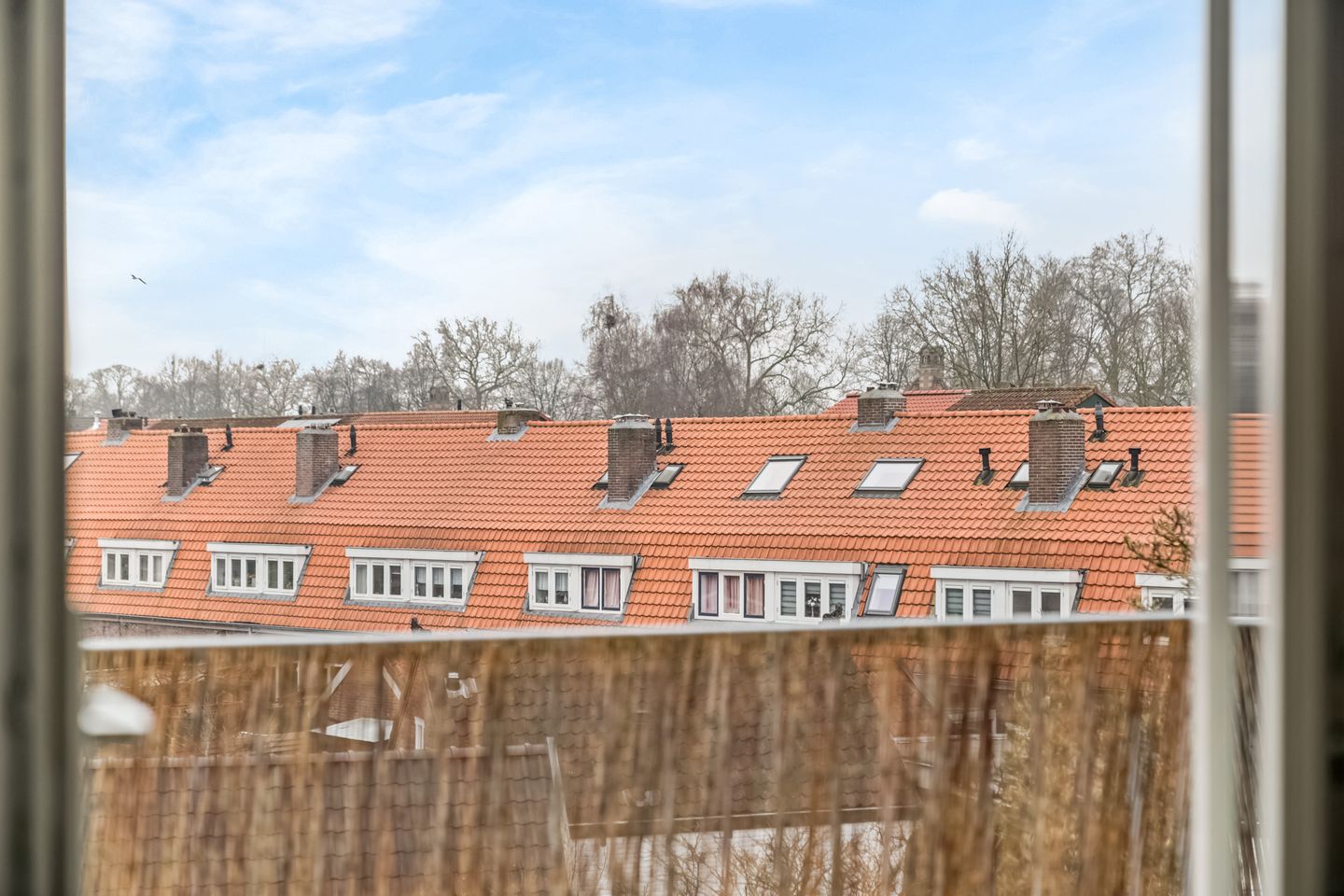 Foto 14 van Utrechtseweg 62-B