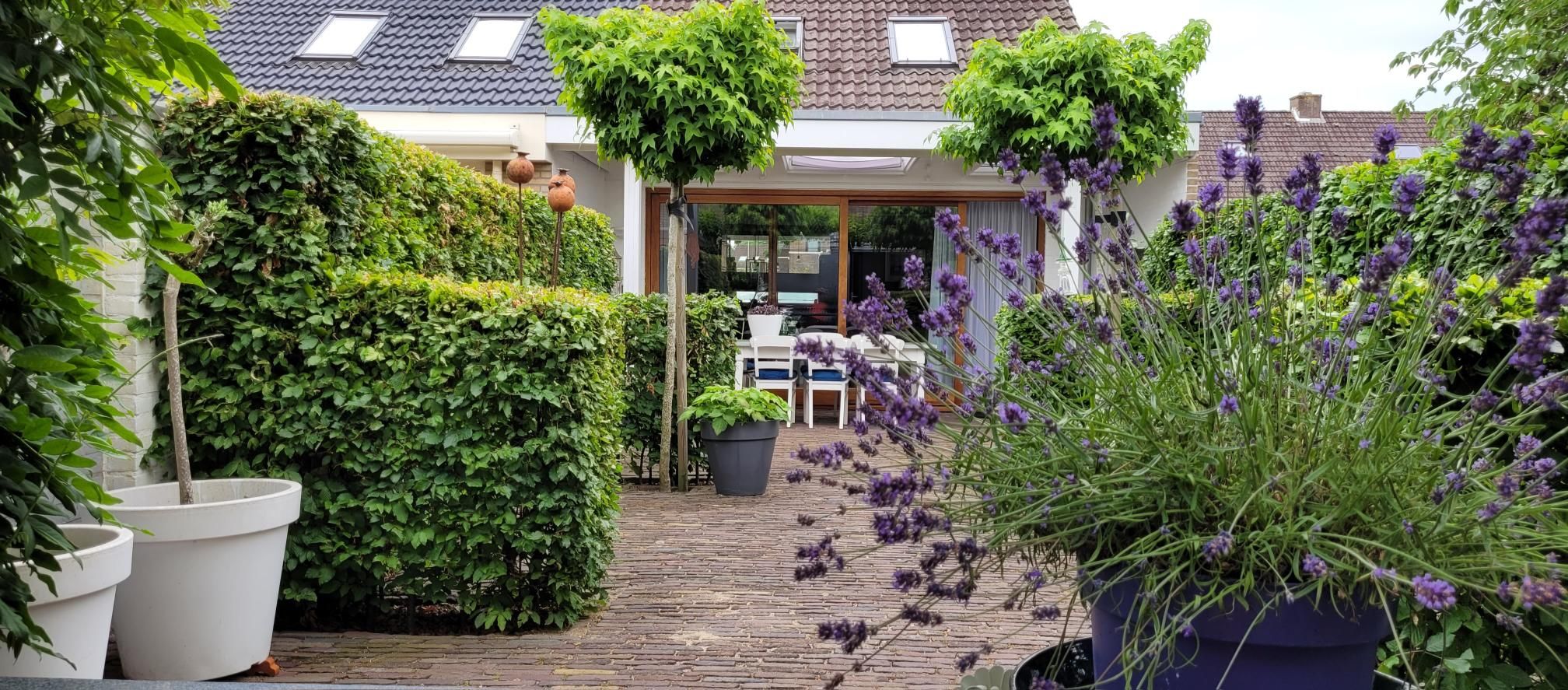 Photo 45 of Grondmolen 2