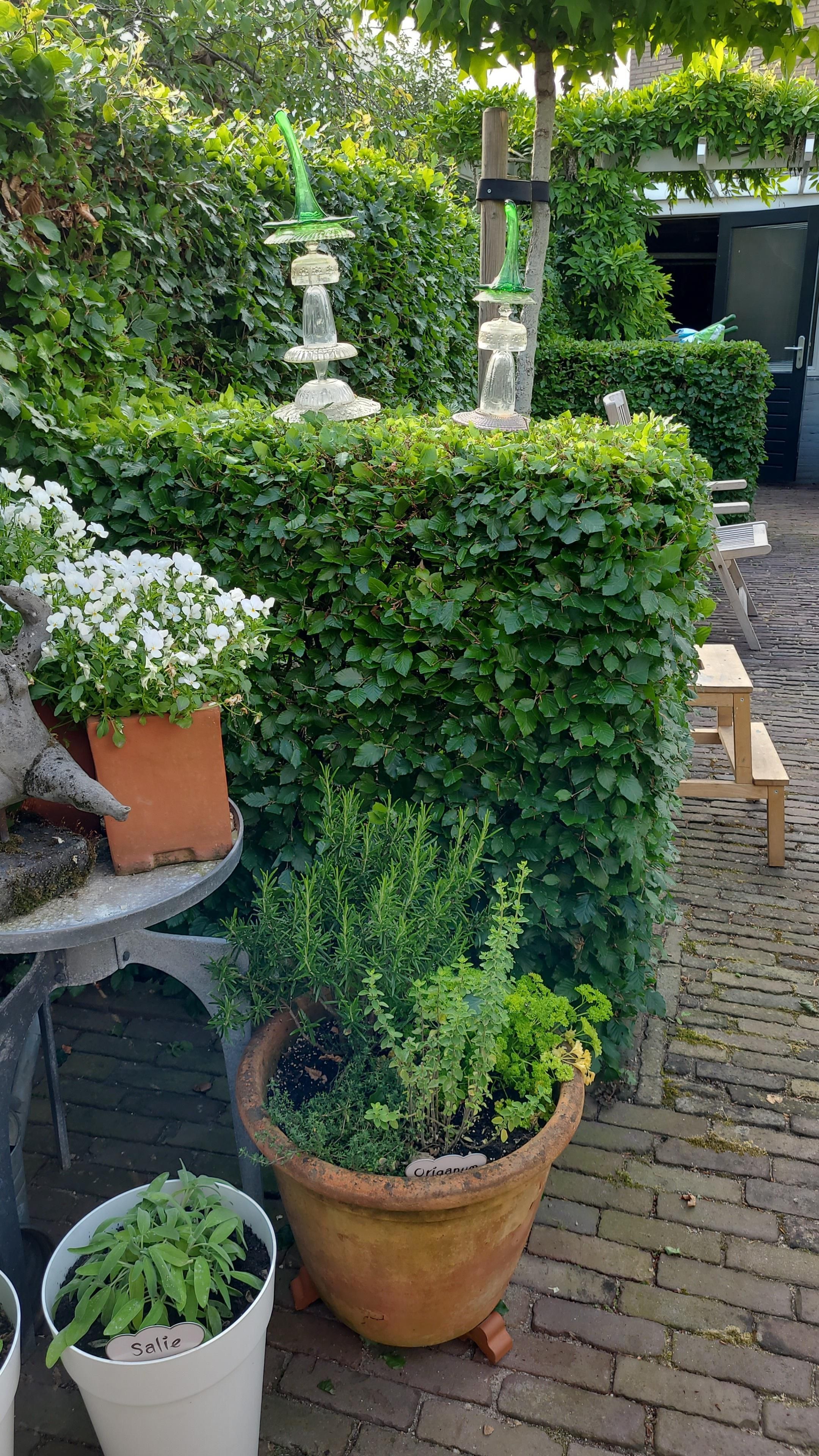 Photo 54 of Grondmolen 2