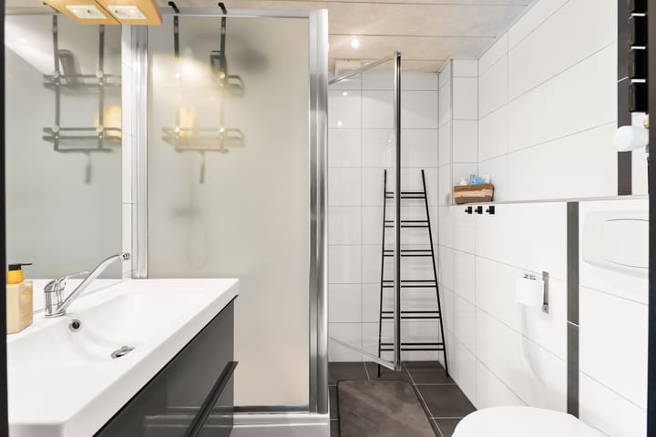 Foto 4 van Kanariesprenk 417