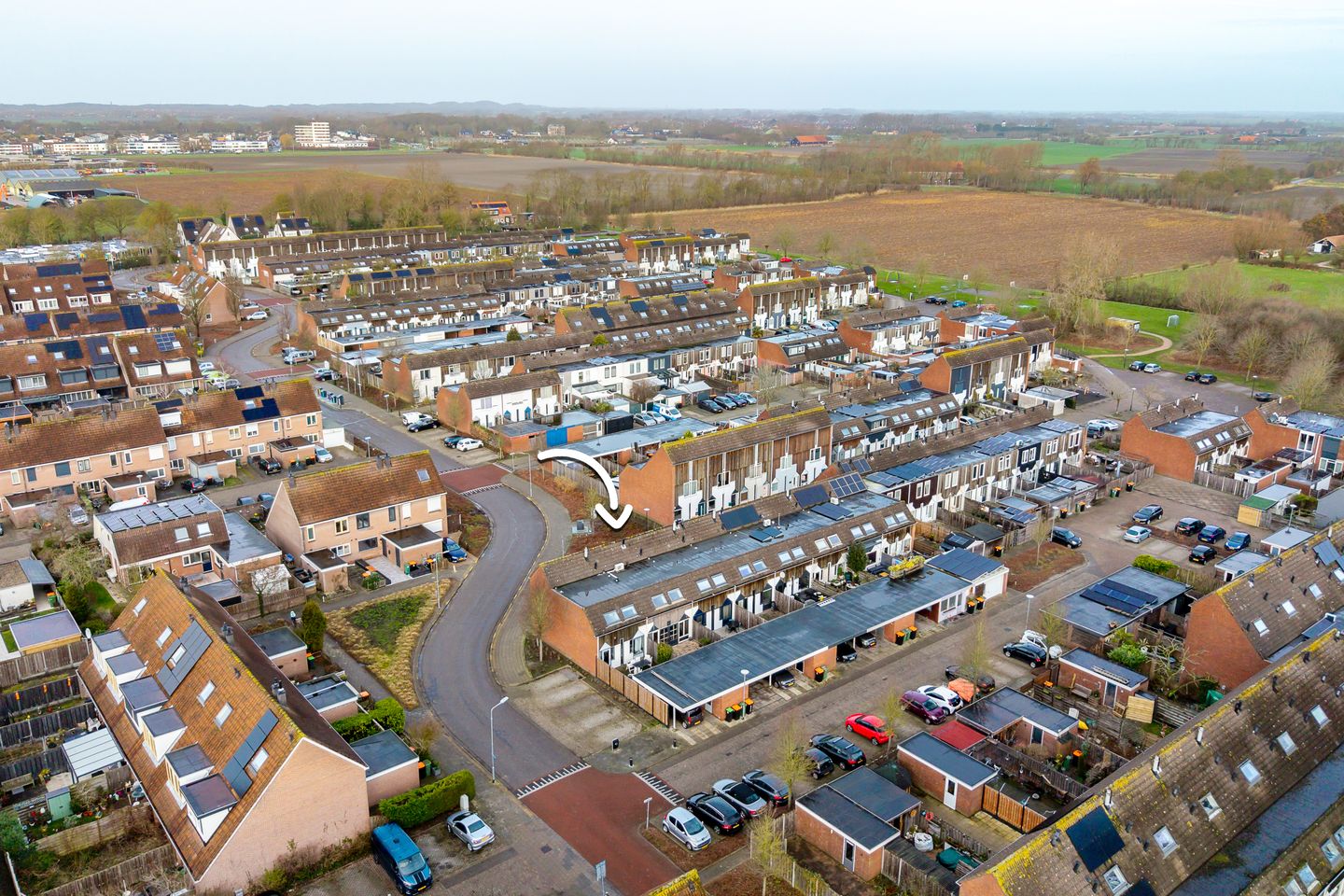 Foto 5 van Kanariesprenk 417