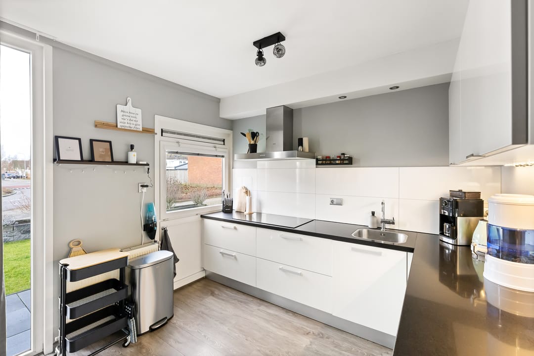 Foto 13 van Kanariesprenk 417