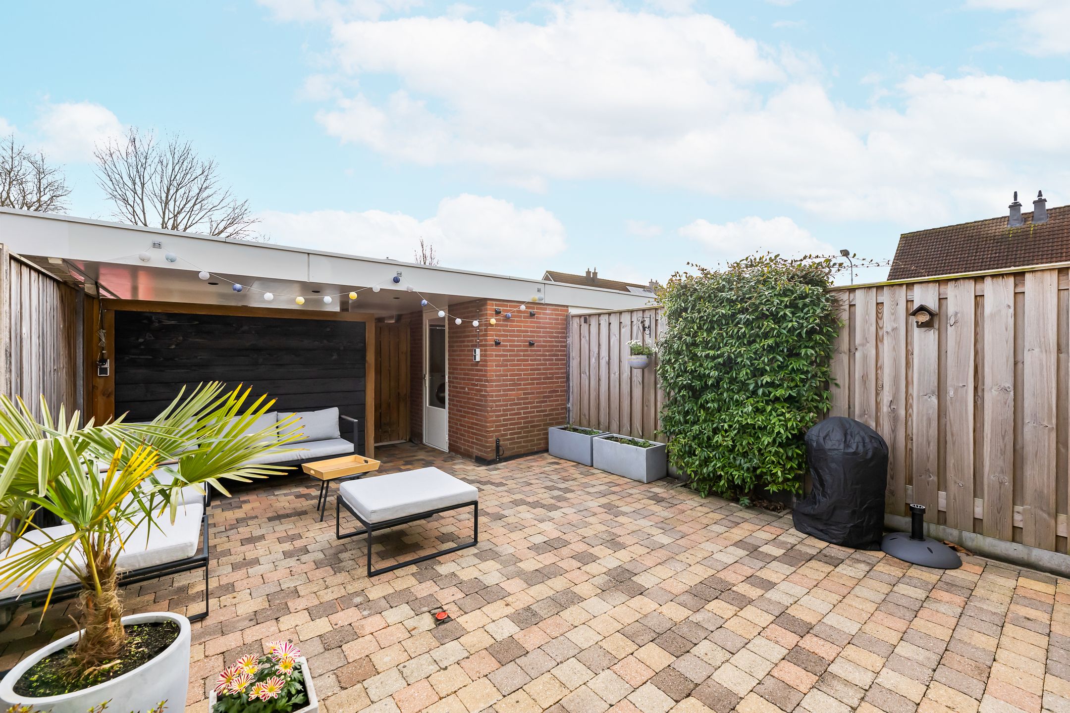 Foto 18 van Kanariesprenk 417