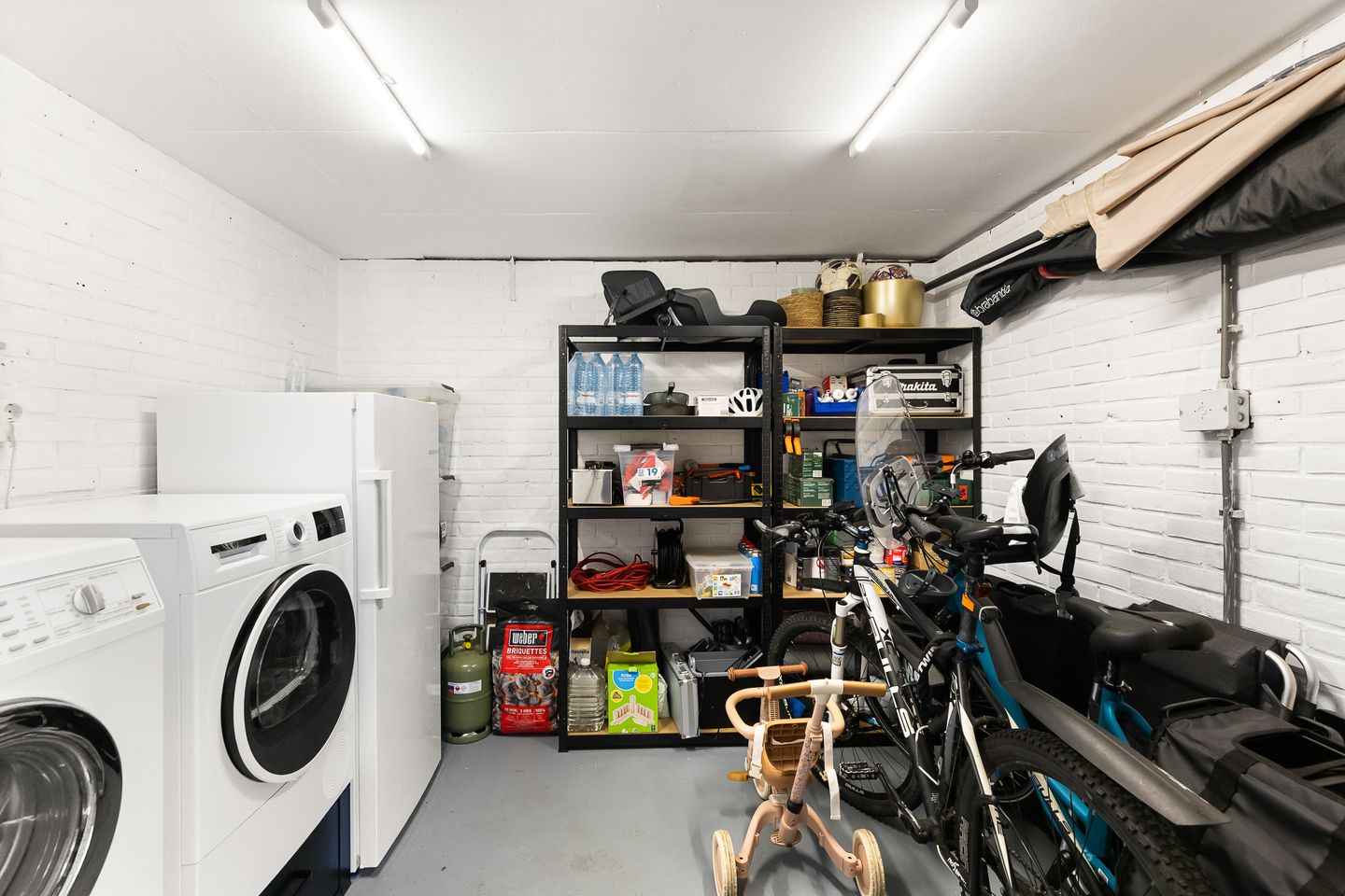 Foto 20 van Kanariesprenk 417