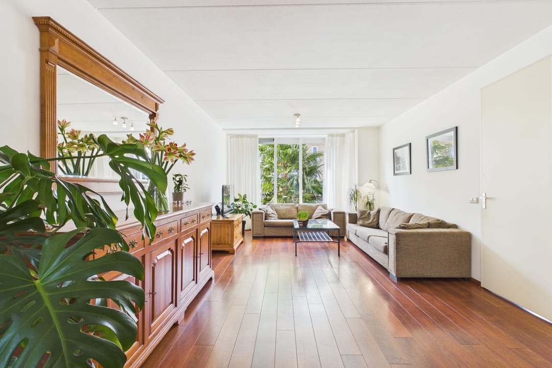 Photo 2 of Aalscholver 14