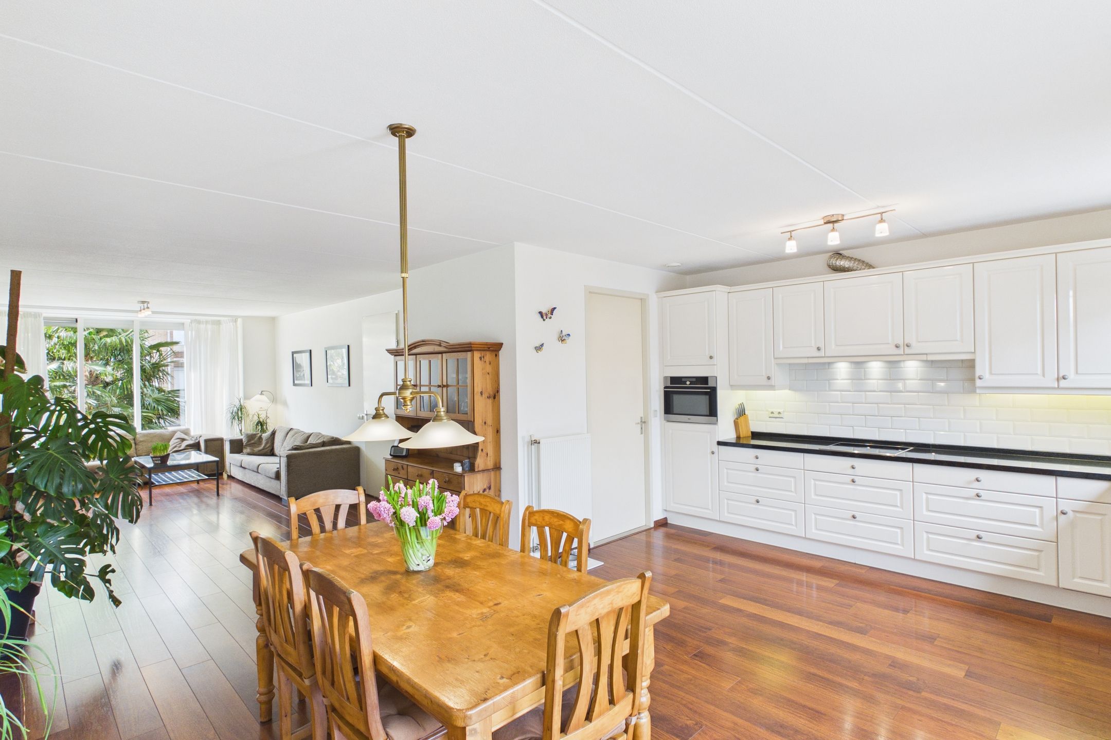 Photo 3 of Aalscholver 14