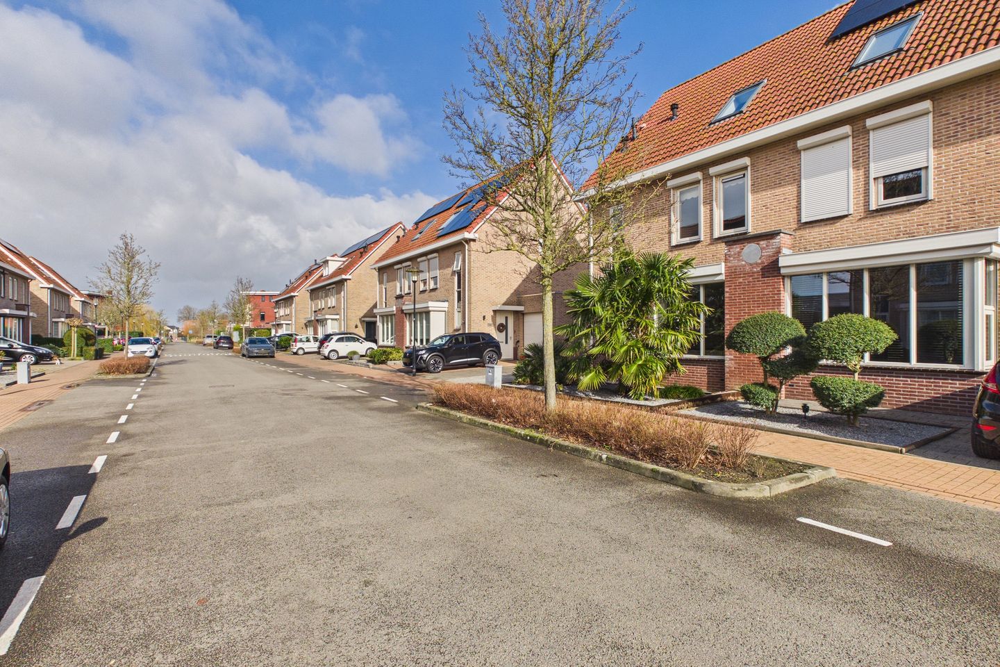 Photo 5 of Aalscholver 14