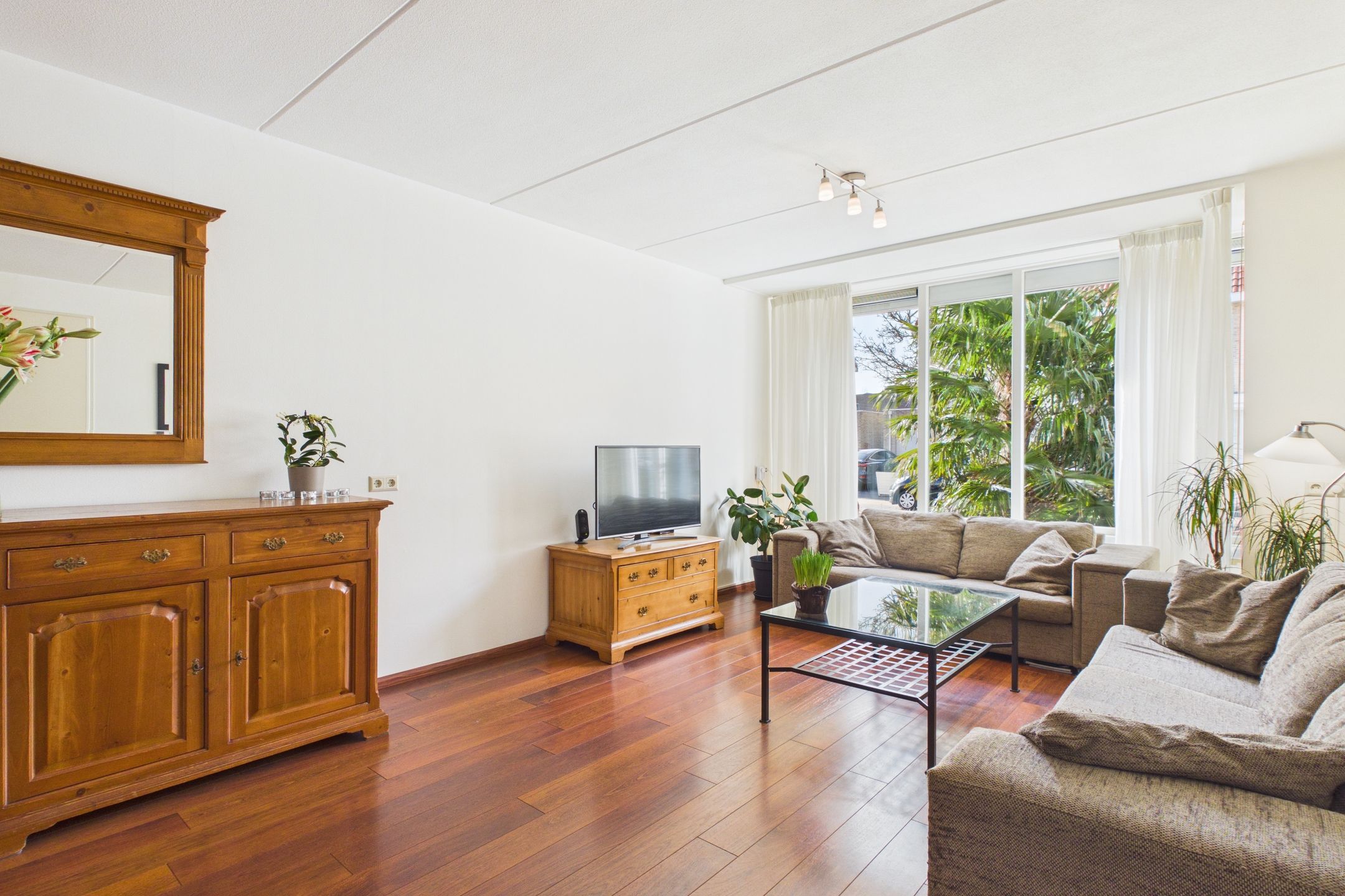 Photo 6 of Aalscholver 14