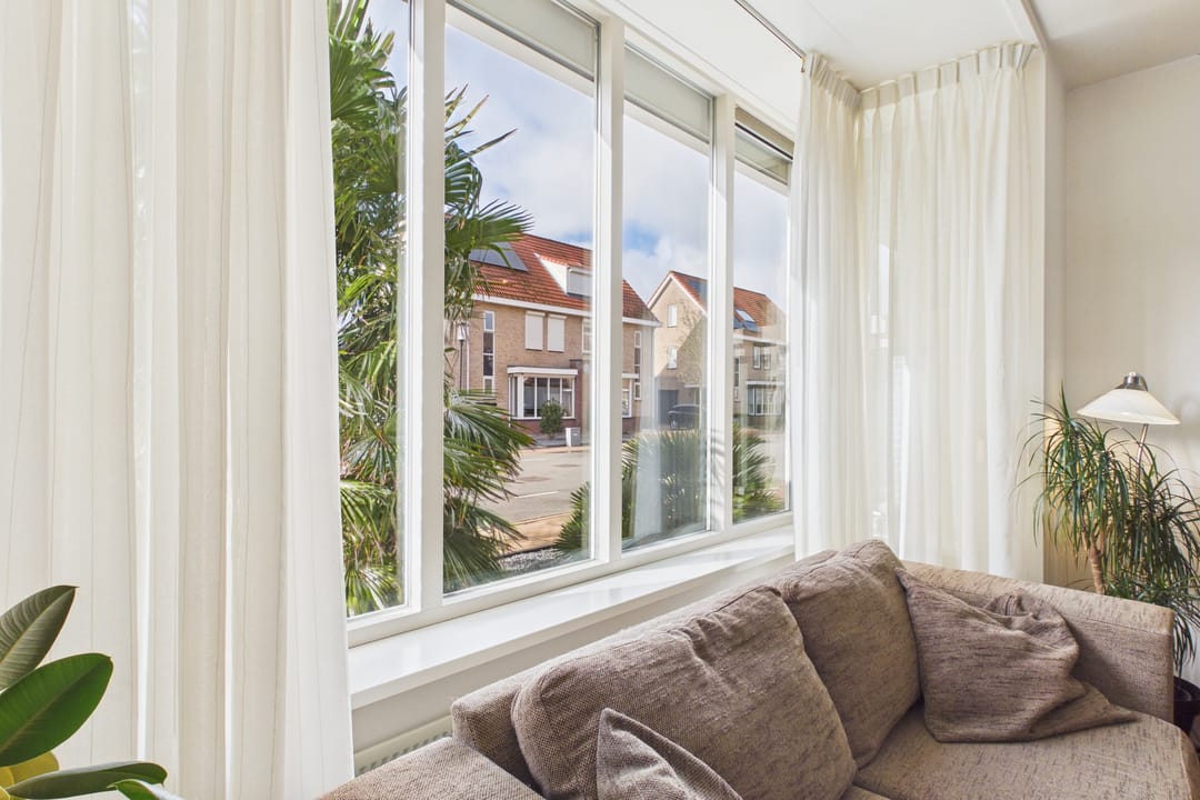 Photo 7 of Aalscholver 14