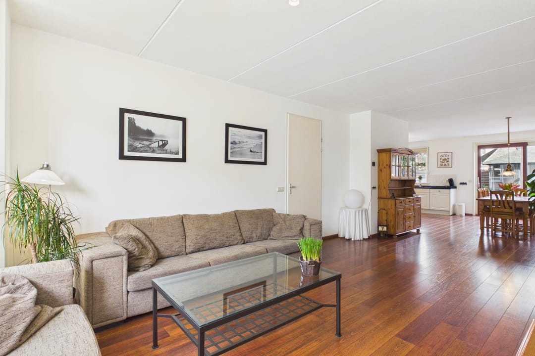 Photo 8 of Aalscholver 14