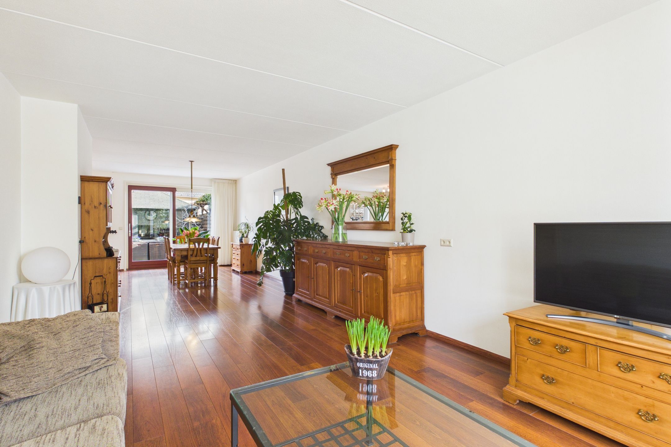 Photo 9 of Aalscholver 14