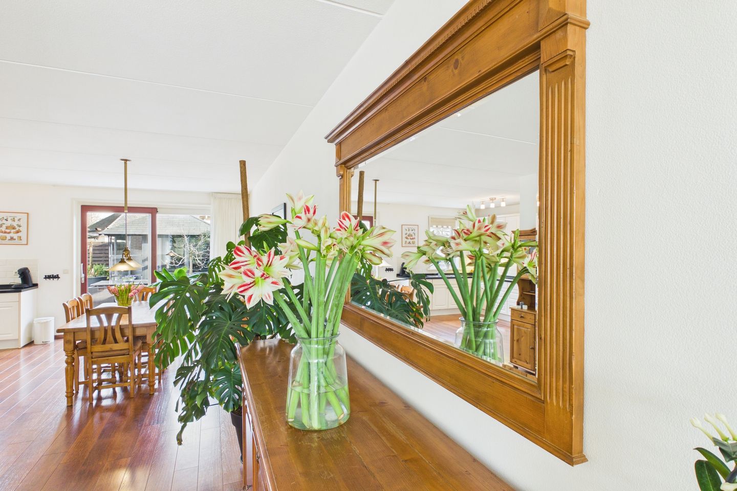 Photo 10 of Aalscholver 14