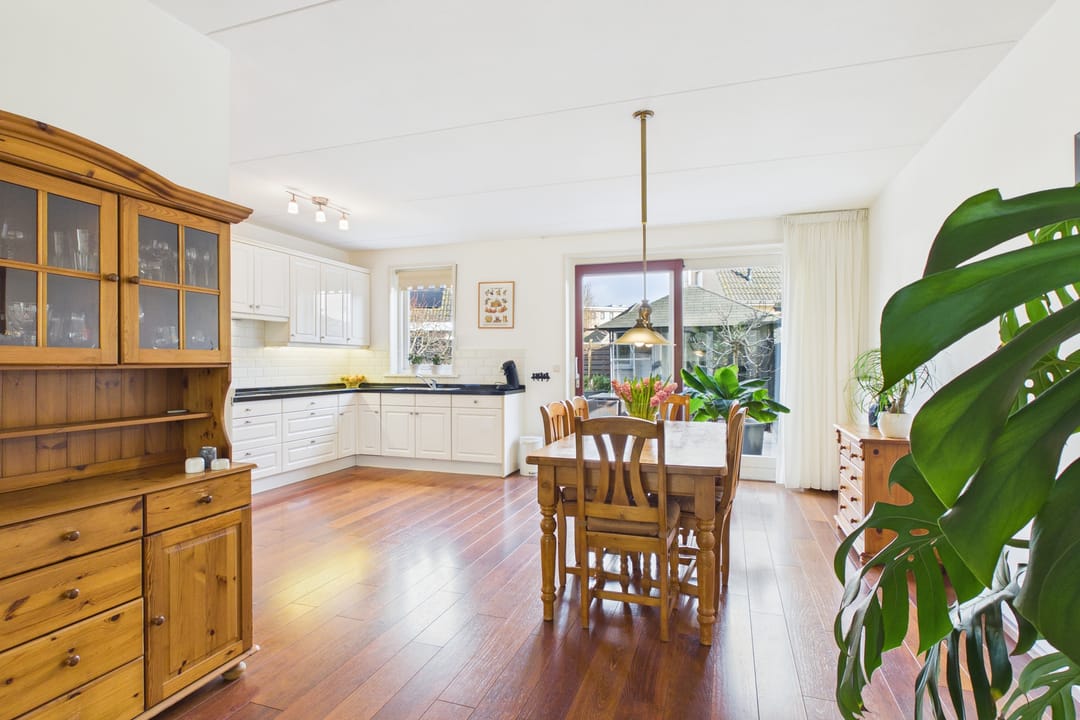 Photo 11 of Aalscholver 14