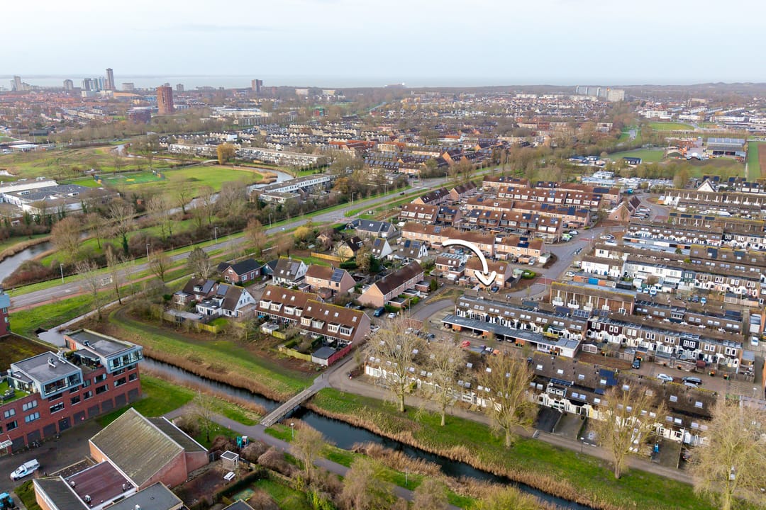 Foto 31 van Kanariesprenk 417