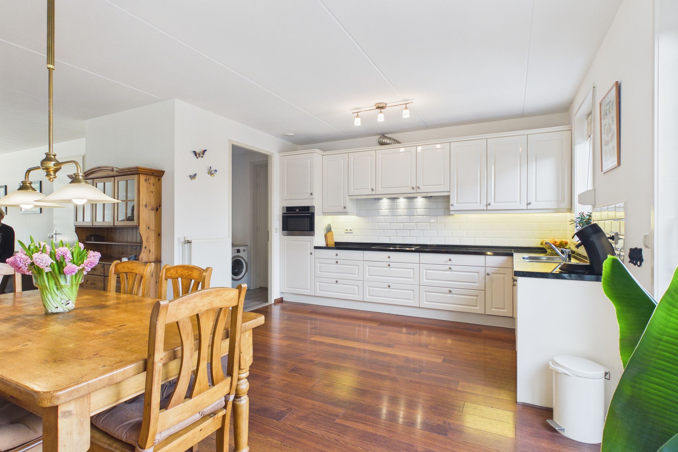 Photo 12 of Aalscholver 14