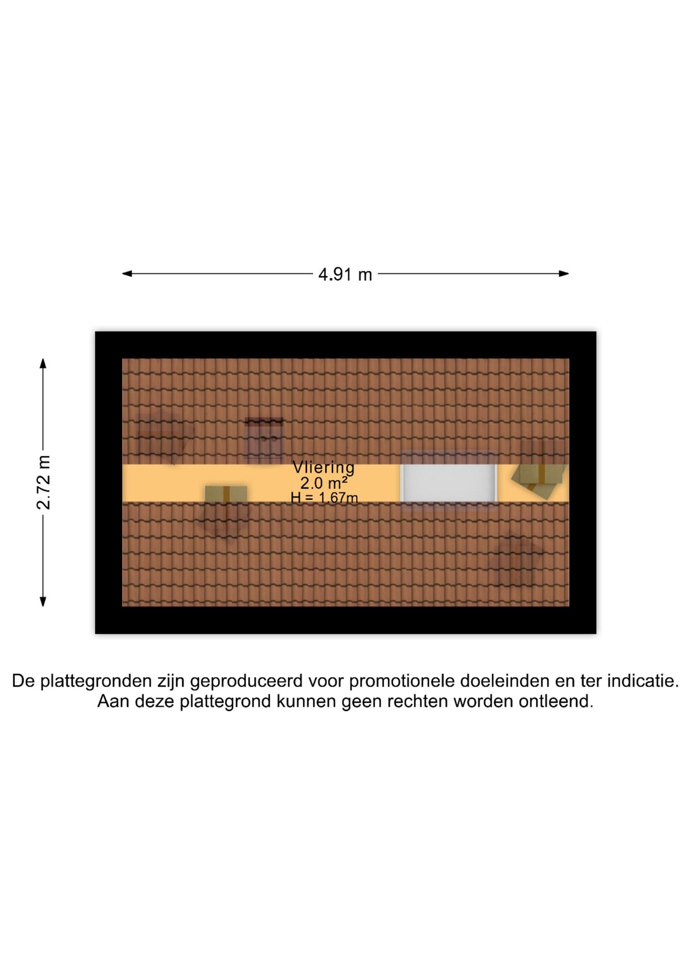 Foto 34 van Kanariesprenk 417