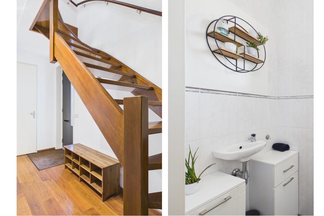 Photo 16 of Aalscholver 14