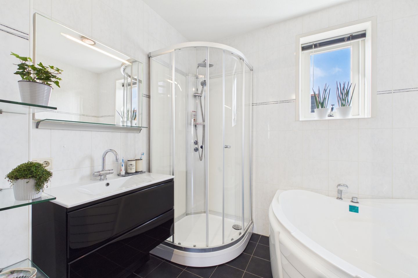 Photo 19 of Aalscholver 14