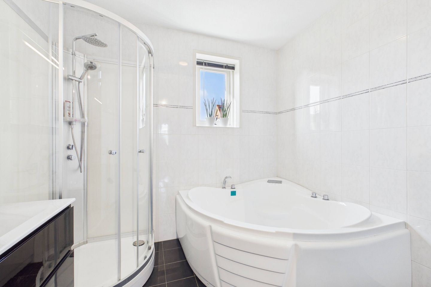 Photo 20 of Aalscholver 14