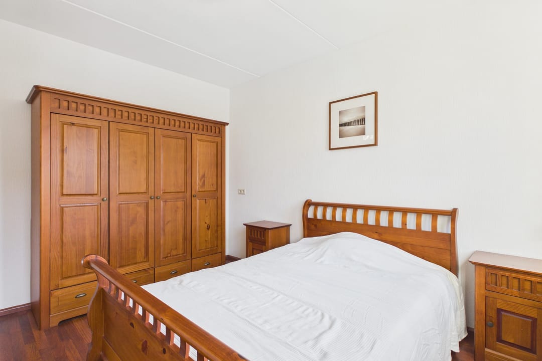 Photo 22 of Aalscholver 14