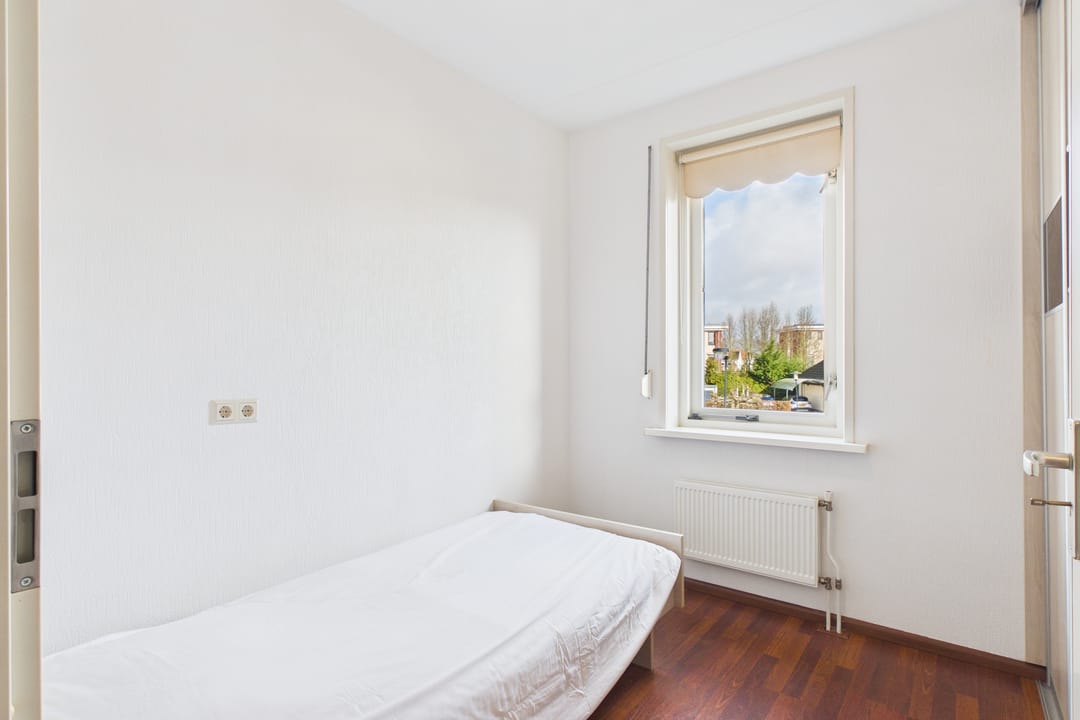 Photo 23 of Aalscholver 14