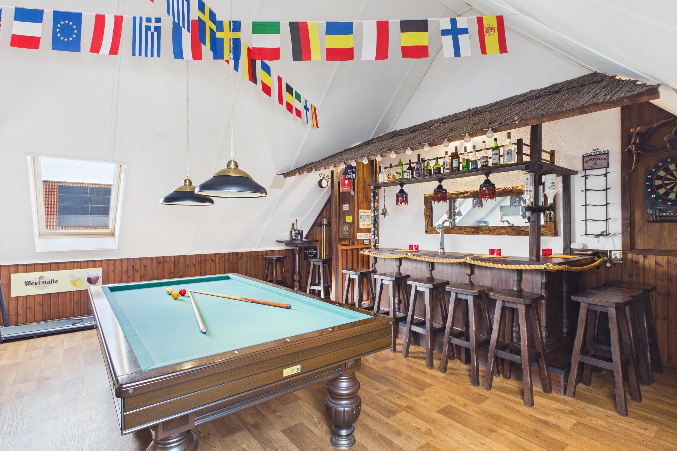 Photo 24 of Aalscholver 14