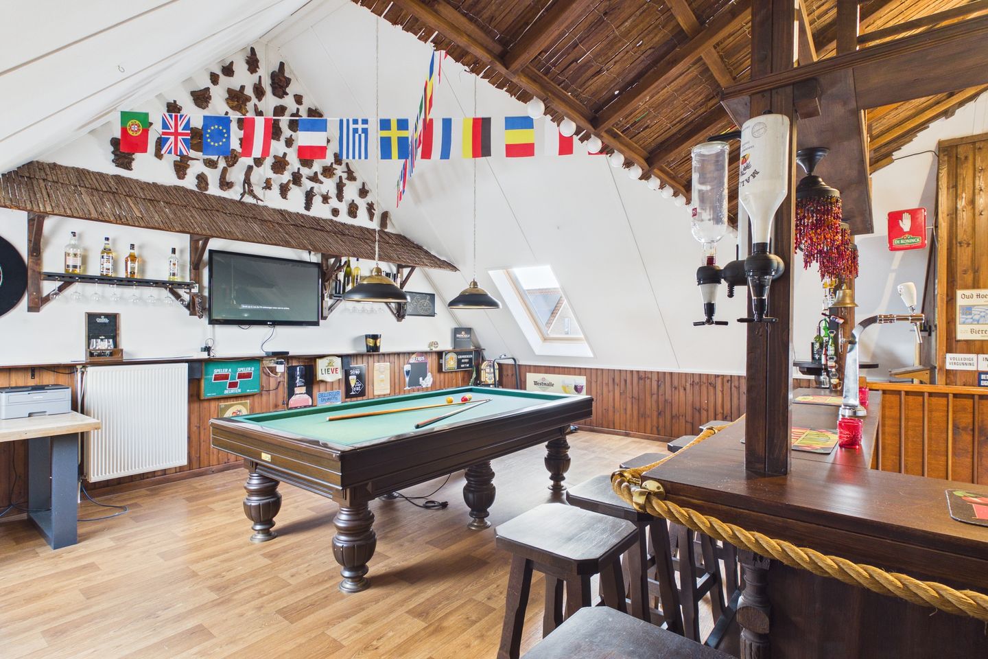 Photo 25 of Aalscholver 14