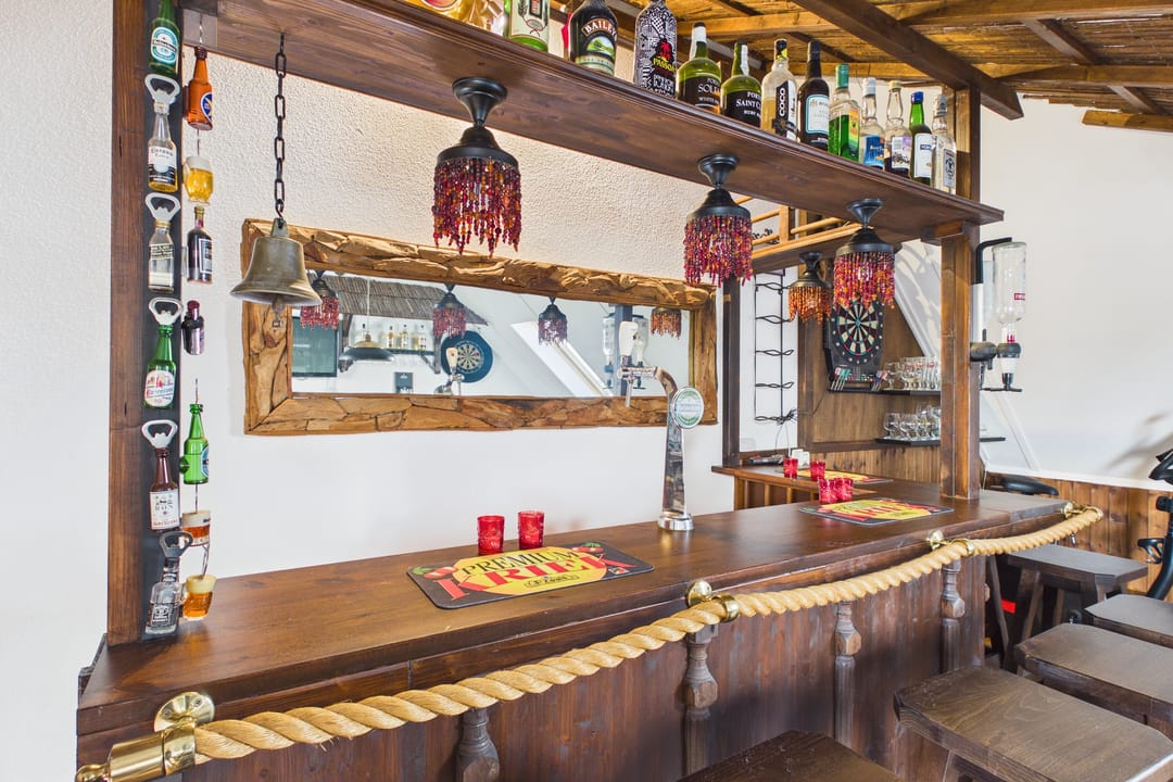 Photo 26 of Aalscholver 14