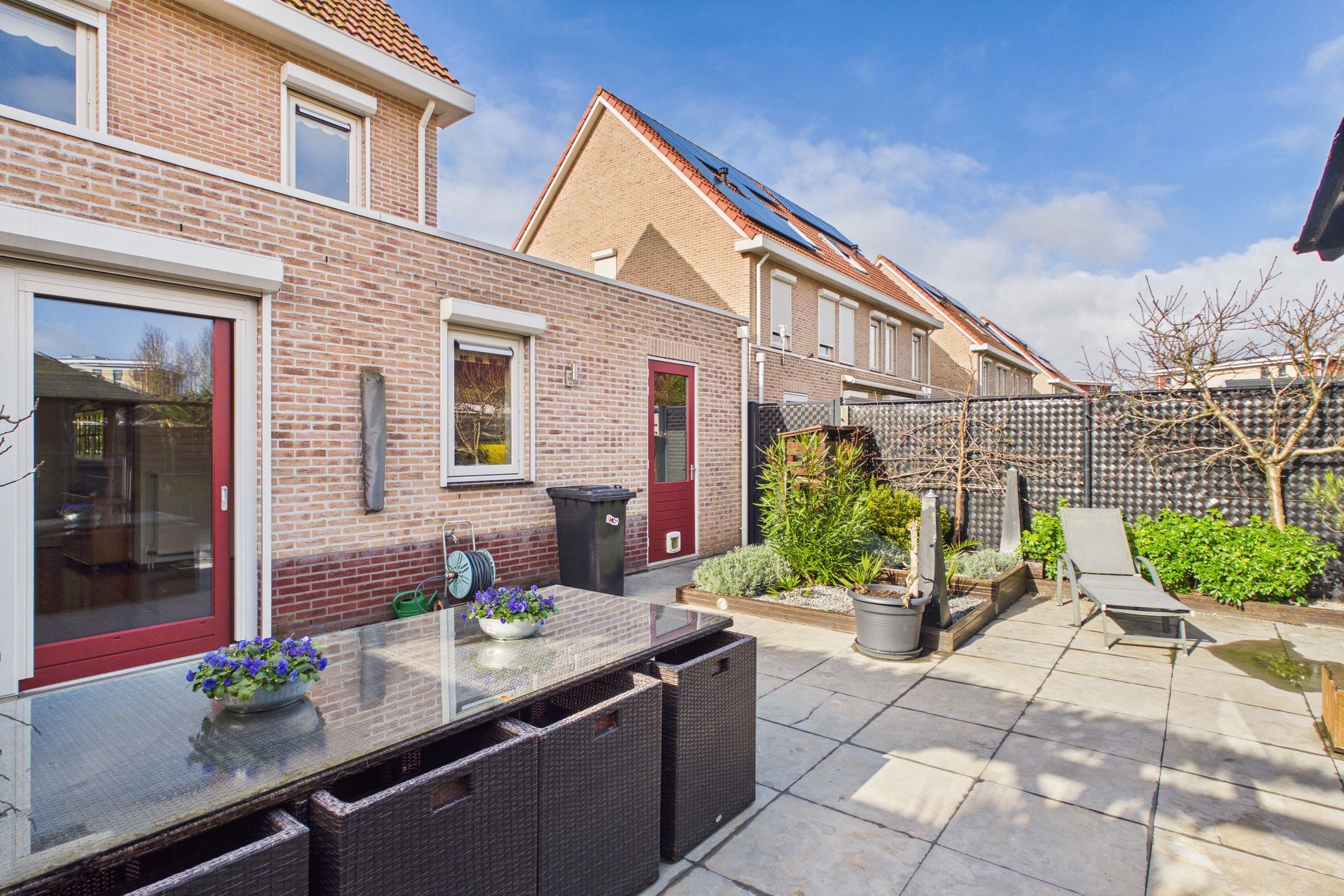 Photo 27 of Aalscholver 14