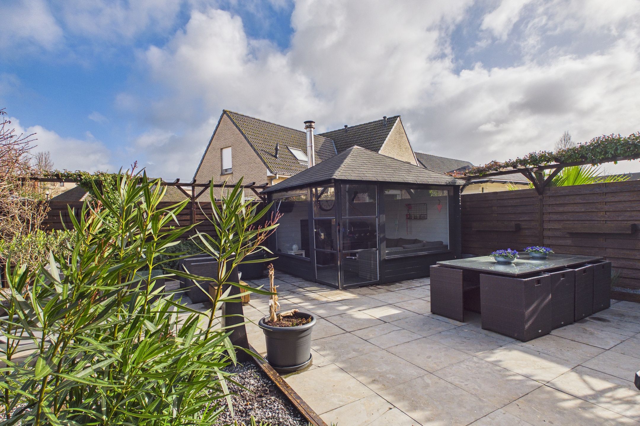 Photo 30 of Aalscholver 14