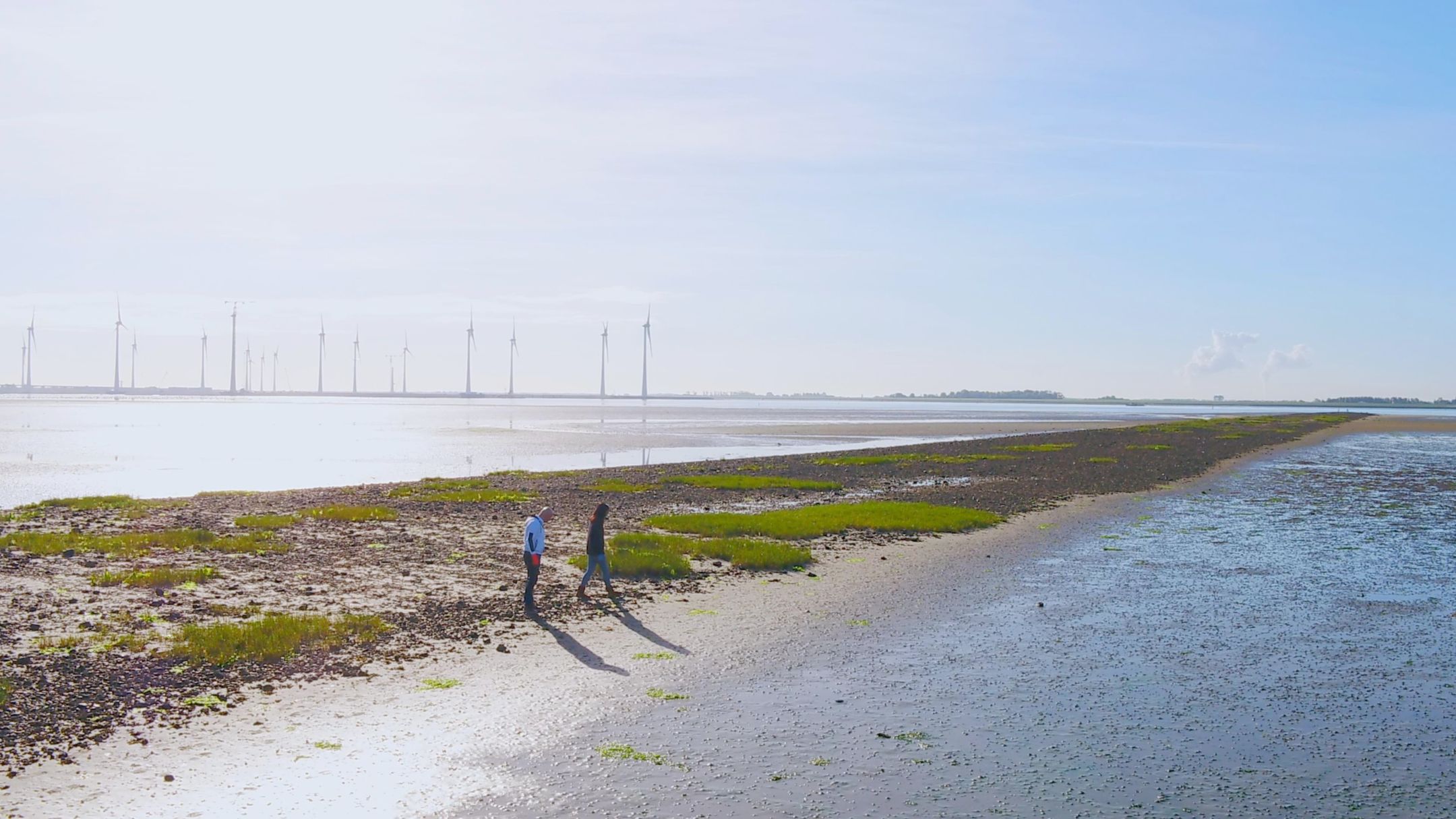 Foto 21 van Zuiddijk 2-B