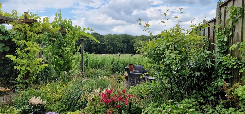 Foto 31 van Hanenberglanden 320