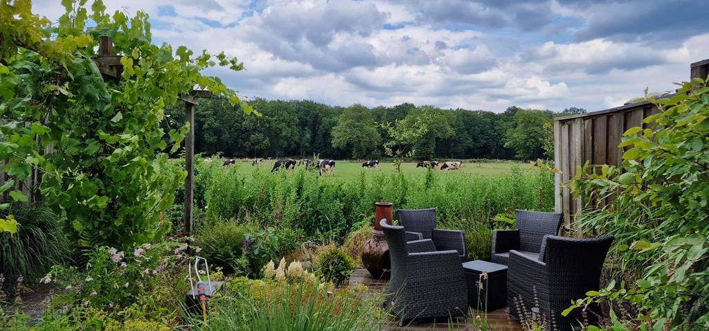 Foto 32 van Hanenberglanden 320