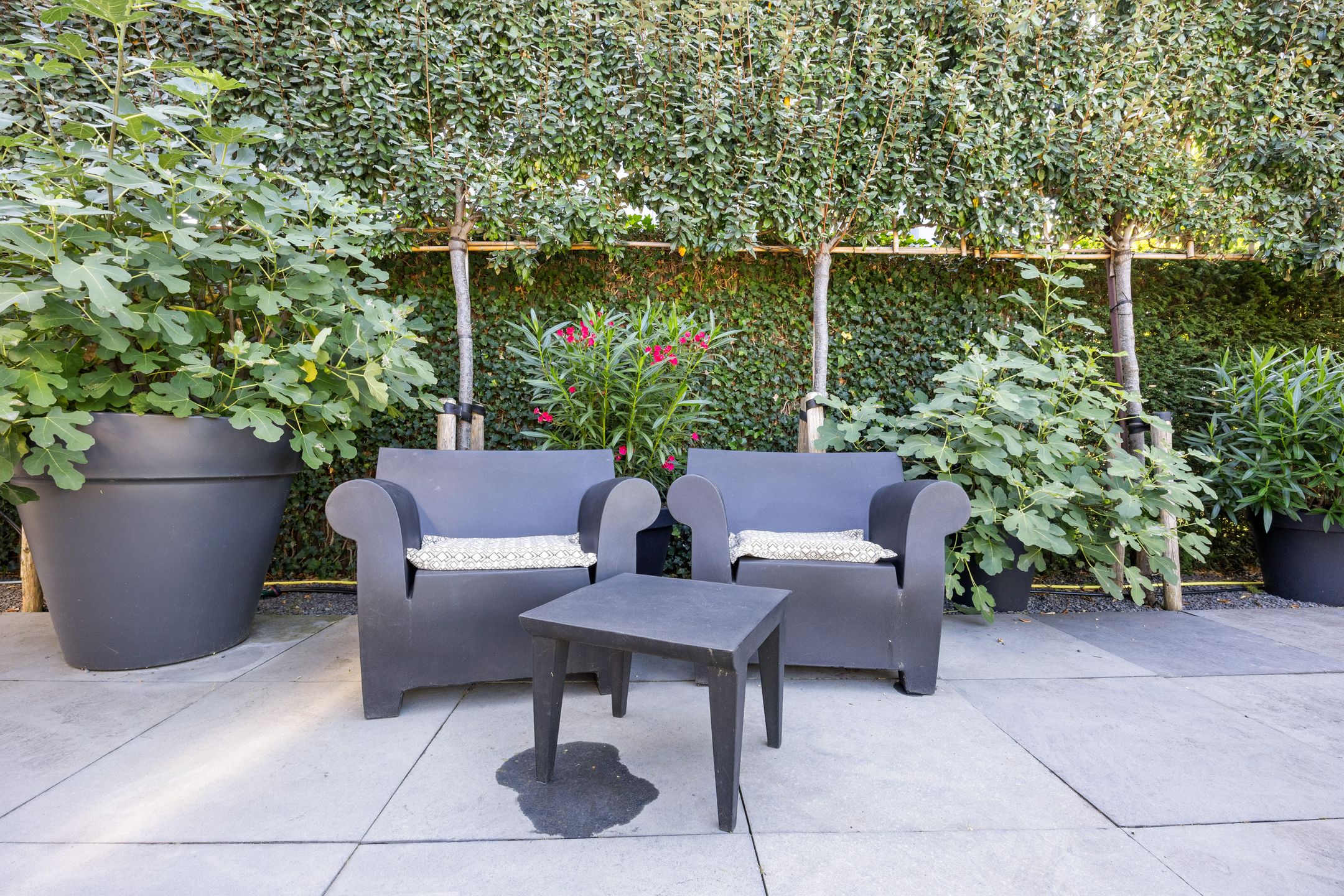 Foto 57 van Laan van de 17e september 10