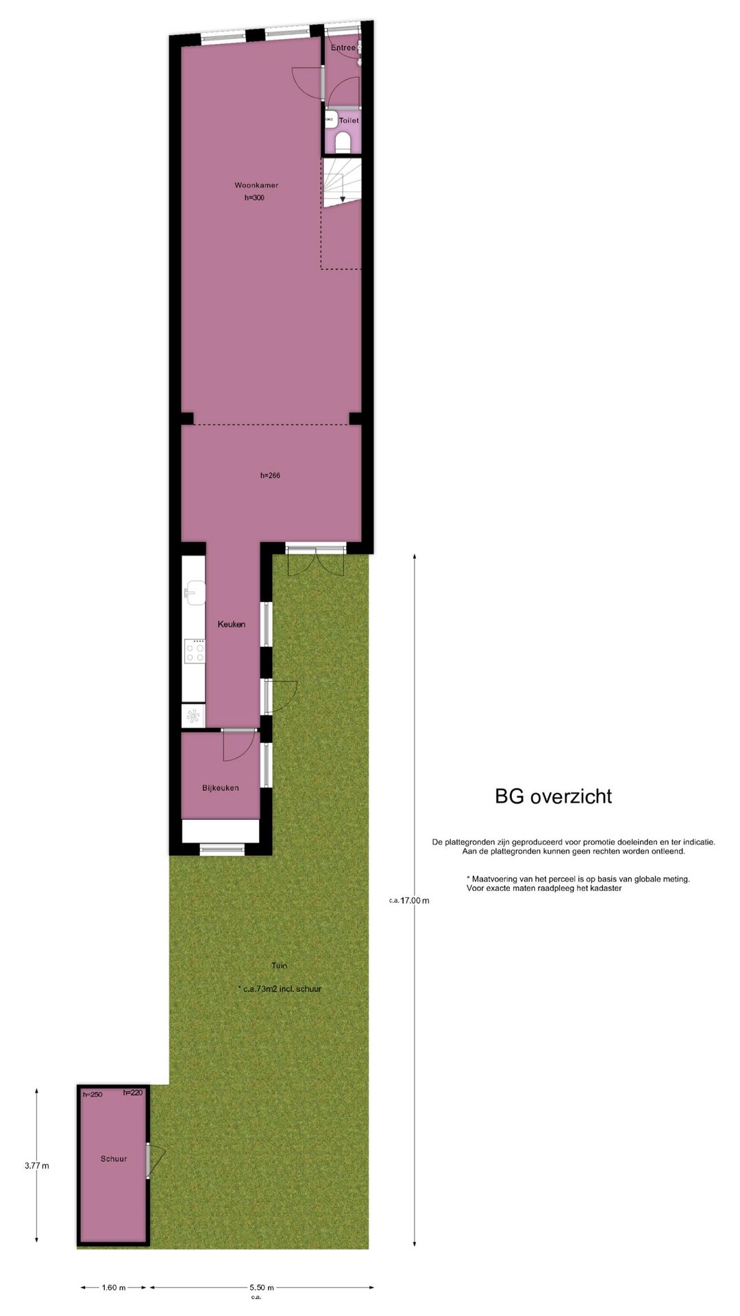 Foto 37 van Otterstraat 107