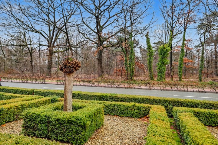 Foto 40 van Merksplasseweg 31