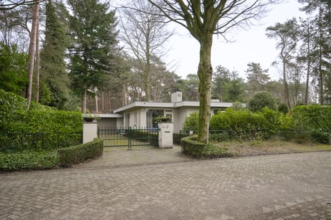 Dennenlaan thumbnail