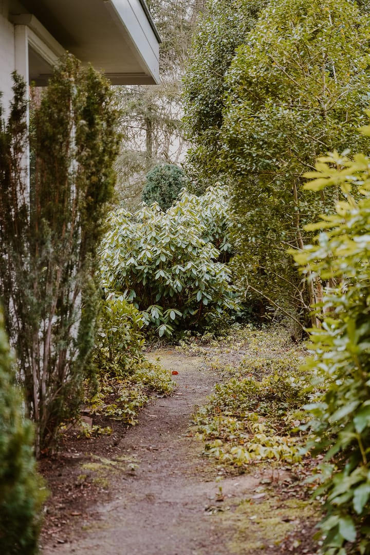 Foto 35 van Dennenlaan 2