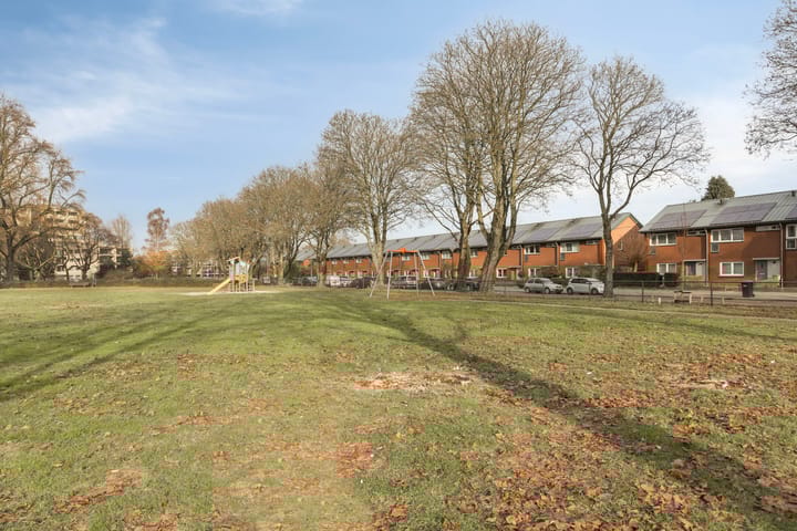 Foto 43 van Zeelsterstraat 241