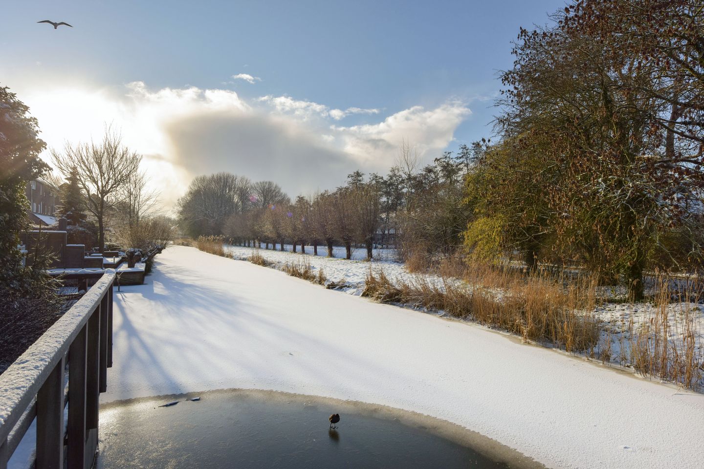 Foto 29 van Kerketuin 62