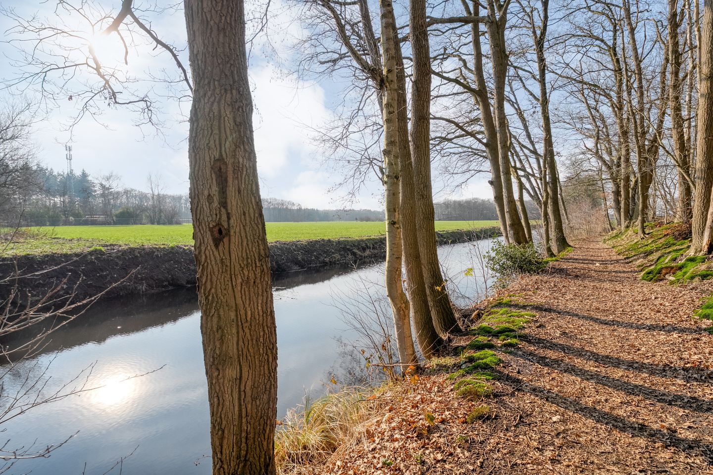 Foto 64 van Westerlaan 7